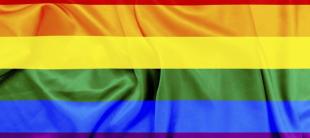 image of a LGBT rainbow flag
