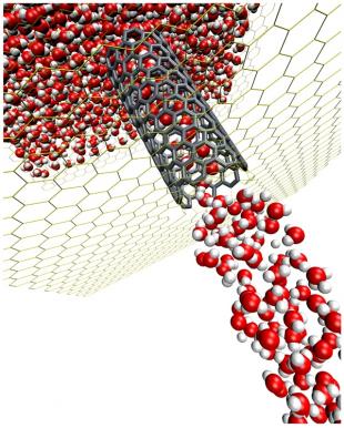 A Molecular Simulation of Water Flow in a Carbon Nanotube