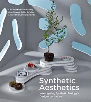 Synthetic Aesthetics - Book Cover