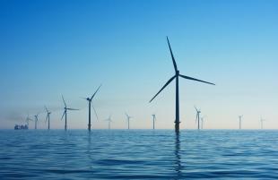 Image of offshore wind turbines at Rampion Wind Farm