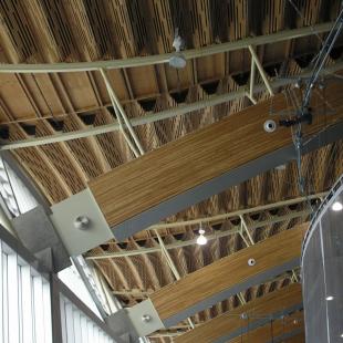 Timber roof structure of the Richmond Oval, Vancouver
